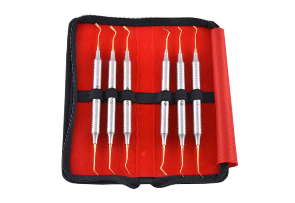 GDC COMPOSITE INSTRUMENTS GOLD FLEXI THIN IN POUCH