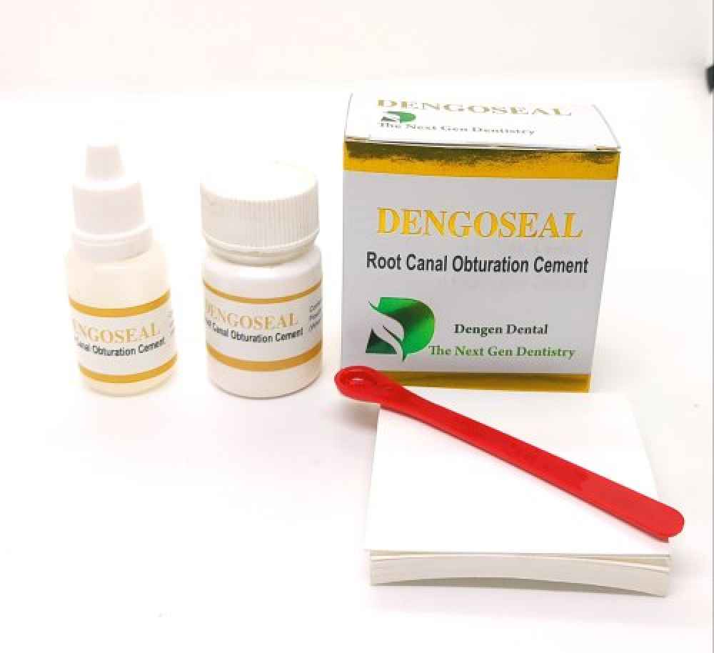 Dengen Dengoseal Resin Based Root Canal Sealer