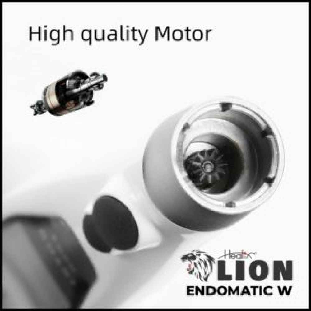 Healix Lion Endomatic W Cordless Endomotor With 5 Sets Of Rotary Files Free