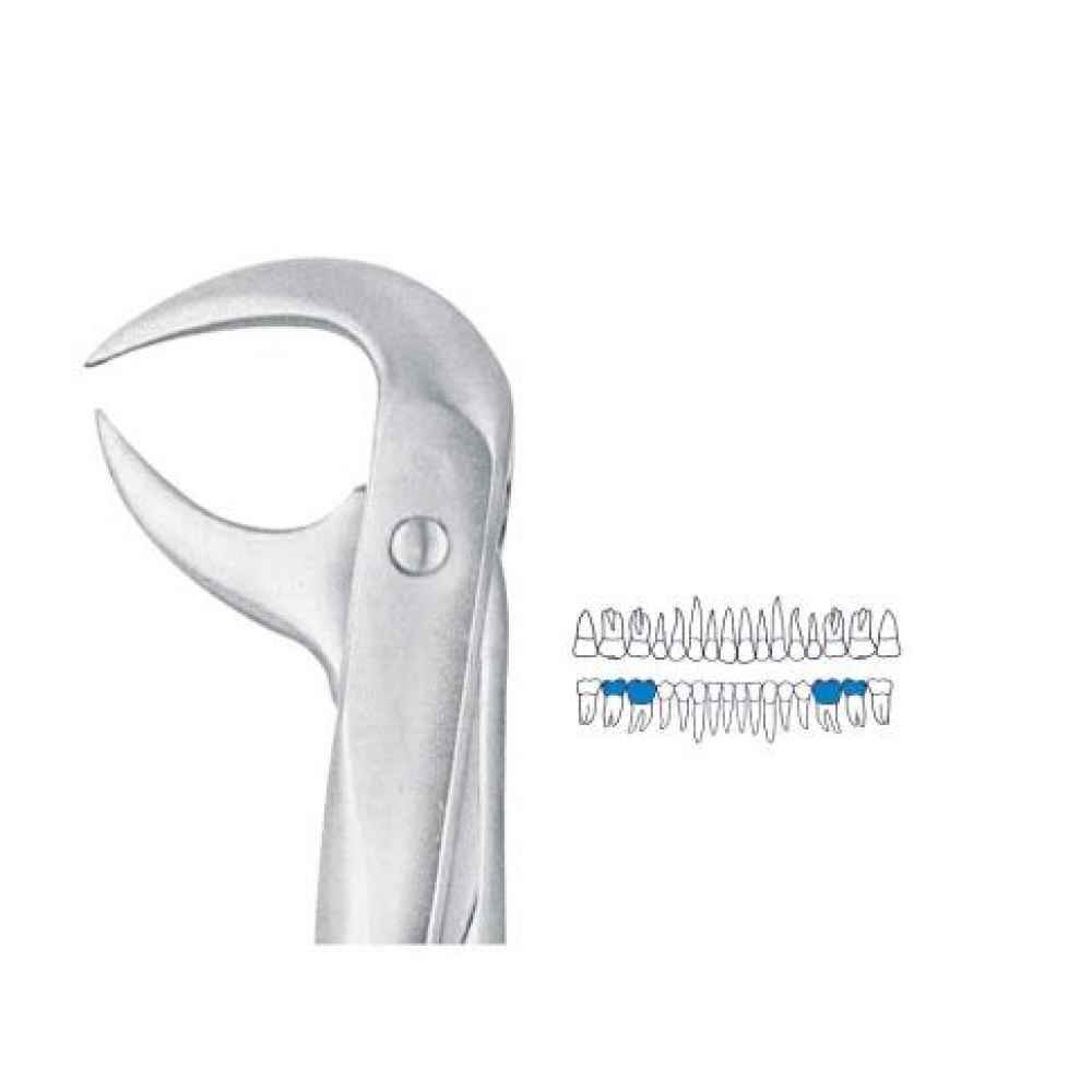 Extraction Forceps Lower Molar Cowhorn 86B