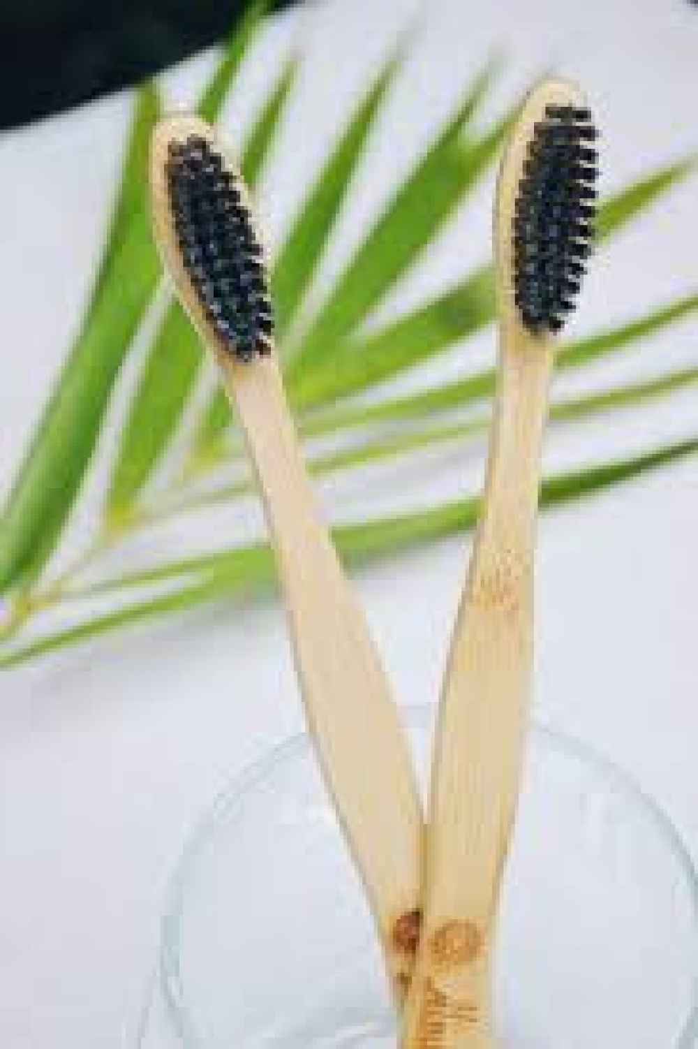 Smiloshine Charcoal Bamboo Toothbrush 