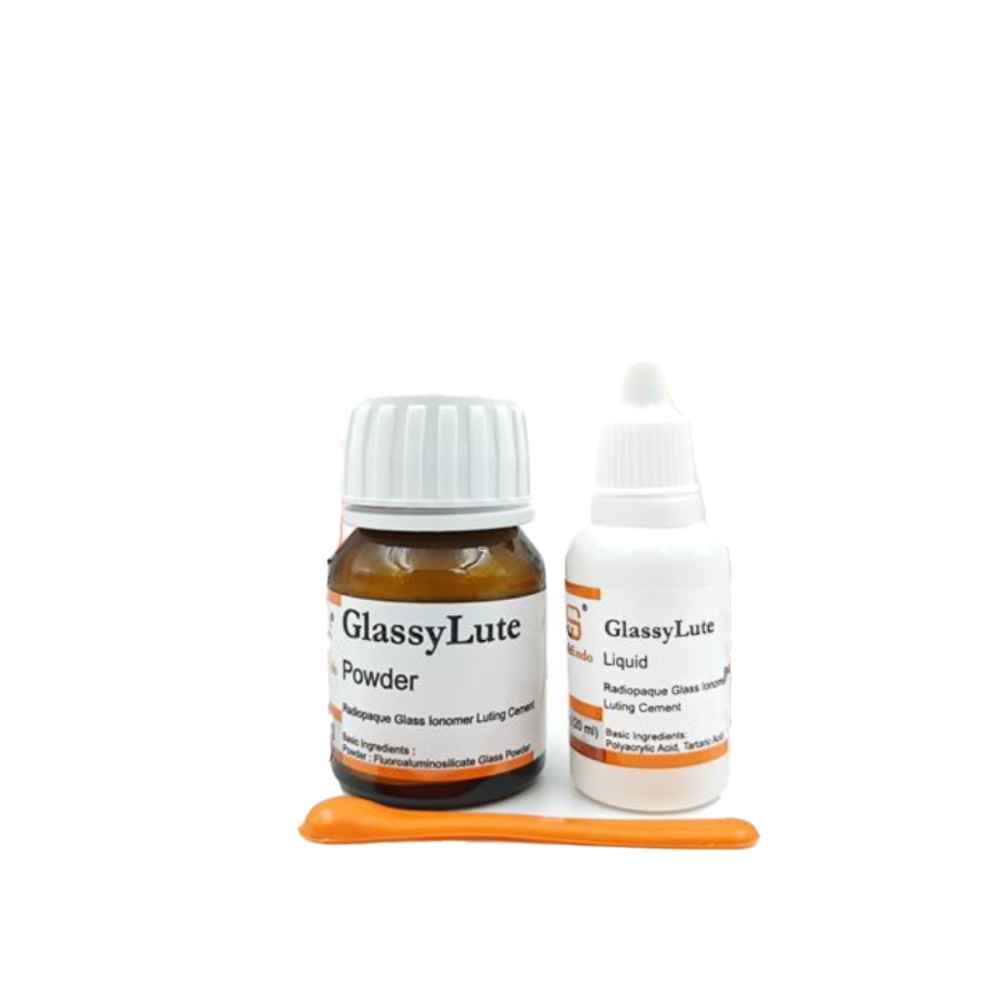 SafeEndo GlassyLute Luting GIC