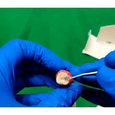 3M EPSE Cavit -G Temporary Filling Material Ref 44313 3M EPSE Cavit -G Temporary Filling Material Ref 44313