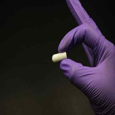 Cologenesis Colo Plug Sterile Collagen Sponge Cologenesis Colo Plug Sterile Collagen Sponge