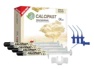 Cerkamed Calcipast Calcium Hydroxide Paste