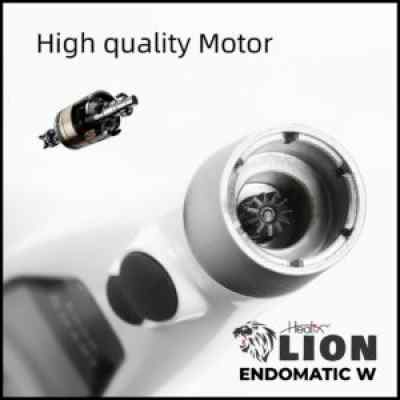 Healix Lion Endomatic W Cordless Endomotor With 5 Sets Of Rotary Files Free