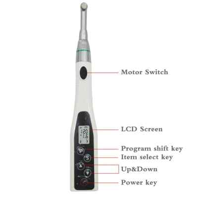 Endo SMART Cordless Dental Endomotor with LED Head