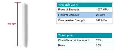 Coltene Tenax Fibre Posts Translucent - Refills