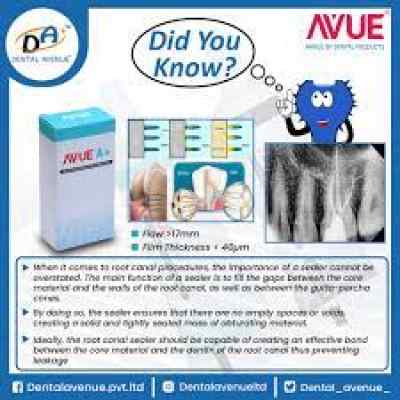 Dental Avenue Avue A+ Calcium Hydroxide Based Root Canal Sealer 