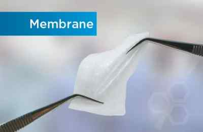 Geistlich Bio-Gide Geistlich Bio-Gide