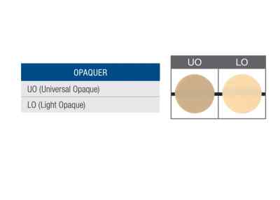 Shofu Beautifil Opaquer