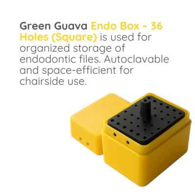 Green Guava Endo Box- Square 36 Holes
