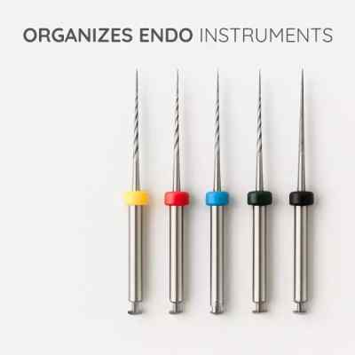 Green Guava Endo Box- 72 Holes