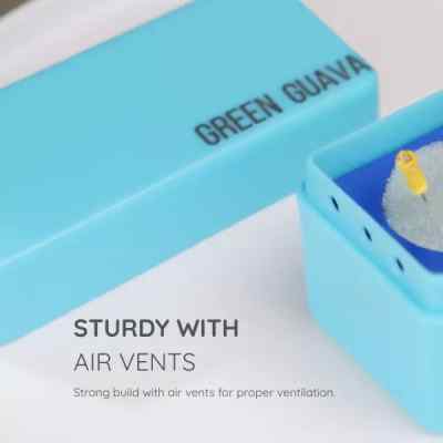 Green Guava Endo Box-36 Holes