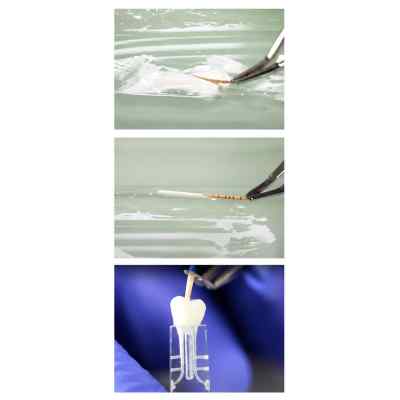 Septodont Bio Root RCS Mineral-based Root Canal Sealer