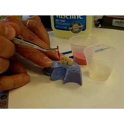 GC Pattern Resin Ls 1-1 Package Acrylic Die Material