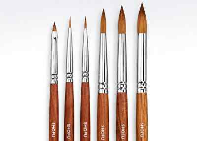 Shofu Porcelain Brushes Set of 6
