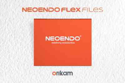 Neoendo Flex File- 40/4 
