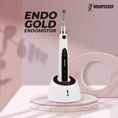 Woodpecker Endo Gold Endomotor Cordless Endomotor With Improved Torque Control