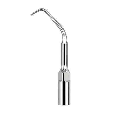 Woodpecker Scaler Tip For Root Canal Retrogression And Apical Polishing Woodpecker Scaler Tip For Root Canal Retrogression And Apical Polishing
