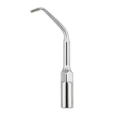 Woodpecker Scaler Tip For Root Canal Retrogression And Apical Polishing Woodpecker Scaler Tip For Root Canal Retrogression And Apical Polishing