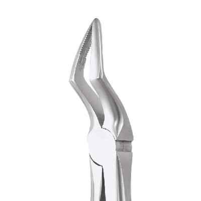  GDC EXTRACTION FORCEPS STANDARD UPPER ROOT FX51AS